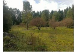Parcela 5.400 m2 Chiloé. Precio Conversable - Sector Natri. Chonchi