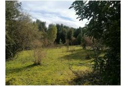 Parcela 5.400 m2 Chiloé. Precio Conversable - Sector Natri. Chonchi