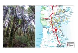 Parcela 5.400 m2 Chiloé. Precio Conversable - Sector Natri. Chonchi