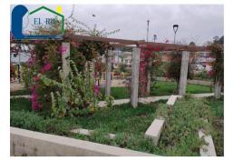 Amplia casa de un piso – Villa Alemana