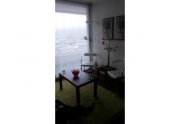 Arriendo año corrido Depto 1d-1b-45mt2 amoblado Plan Viña del Mar $440.000