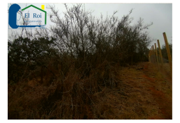 AMPLIA PARCELA 5.050 M2