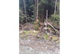 ¡La MEJOR oferta de terreno off-grid del MUNDO!