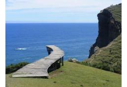 ¡La MEJOR oferta de terreno off-grid del MUNDO!