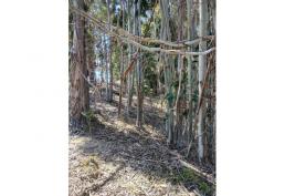 ¡La MEJOR oferta de terreno off-grid del MUNDO!