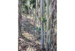 ¡La MEJOR oferta de terreno off-grid del MUNDO!