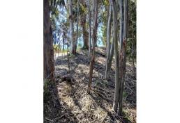 ¡La MEJOR oferta de terreno off-grid del MUNDO!