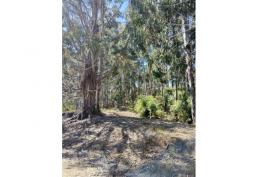 ¡La MEJOR oferta de terreno off-grid del MUNDO!