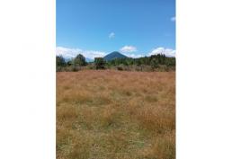 LLEGARON 2 PARCELAS EN LAGO RUPANCO