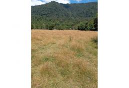 LLEGARON 2 PARCELAS EN LAGO RUPANCO