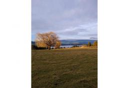 LLEGARON 2 PARCELAS EN LAGO RUPANCO