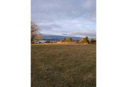 LLEGARON 2 PARCELAS EN LAGO RUPANCO