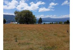 LLEGARON 2 PARCELAS EN LAGO RUPANCO