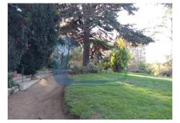 Amplio departamento en octavo piso – Forestal