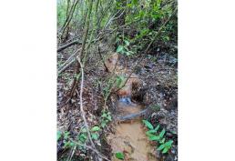 Venta de parcela Valdivia