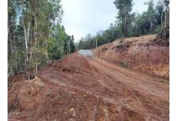 Venta de parcela Valdivia