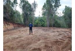 Venta de parcela Valdivia