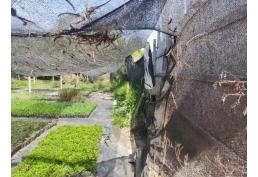 Se vende parcela excelente ubicación en La Pintana