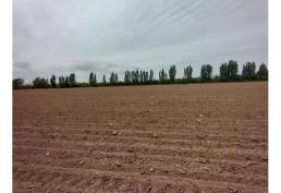 EN VENTA TERRENO DE 1,5 Häs, EN CHIMBARONGO A MIN CARRETRA 5