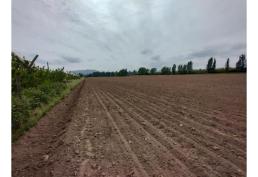 EN VENTA TERRENO DE 1,5 Häs, EN CHIMBARONGO A MIN CARRETRA 5