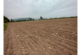 EN VENTA TERRENO DE 1,5 Häs, EN CHIMBARONGO A MIN CARRETRA 5