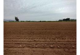 EN VENTA TERRENO DE 1,5 Häs, EN CHIMBARONGO A MIN CARRETRA 5