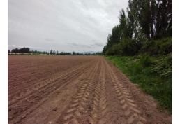 EN VENTA TERRENO DE 1,5 Häs, EN CHIMBARONGO A MIN CARRETRA 5