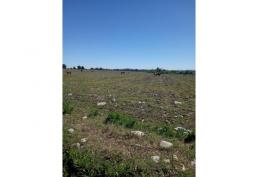 TERRENO EN VENTA 24,4 HA