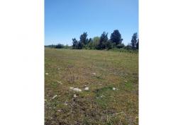 TERRENO EN VENTA 24,4 HA