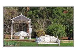 ARRIENDA GRAN PARCELA CON CASA EN CURACAVI - LOS NARANJOS