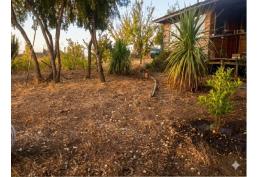 Hermosa Parcela, con amplio terreno y con Cabaña para remodelar.