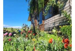 Hermosa Parcela, con amplio terreno y con Cabaña para remodelar.