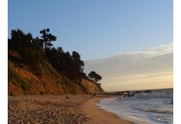 Terreno con espectacular vista al mar en Cocholgüe Tomé.