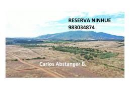 Parcelas 5000m2 en Ninhue - Inmejorable ubicación