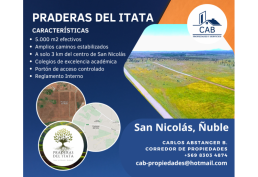 PARCELAS DE 5000M2 EN PRADERAS DEL ITATA con AGUA