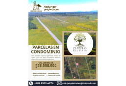 PARCELAS DE 5000M2 EN PRADERAS DEL ITATA con AGUA