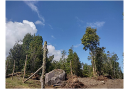 Disfruta Altos de Piedra Azul