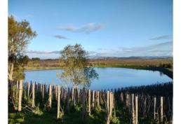 Parcelas a 2hr 15min de Santiago - Marchigue- Ruta del vino