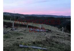 Campo de 90 Hás a 35 km de Los Muermos