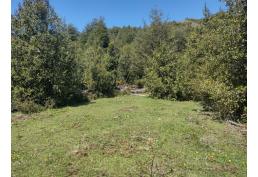 Macrolotes de 5 ha de Bosque Nativo y con propio acseso al Rio