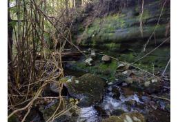 Macrolotes de 5 ha de Bosque Nativo y con propio acseso al Rio