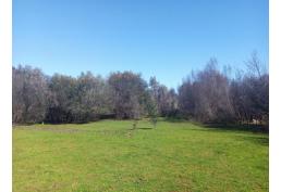 VENDO PARCELA DE 25 HECTAREAS. RIO Y BOSQUE DE AROMOS