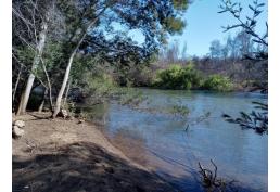 VENDO PARCELA DE 25 HECTAREAS. RIO Y BOSQUE DE AROMOS