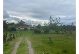 Parcelas en Isla Lemuy Chiloé