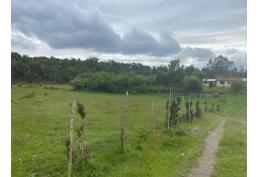 Parcelas en Isla Lemuy Chiloé