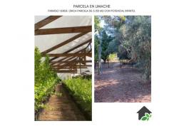 PARCELA en LIMACHE / Paraíso Verde en Limache: Única Parcela de 5.150 m2 con Potencial Infinito.